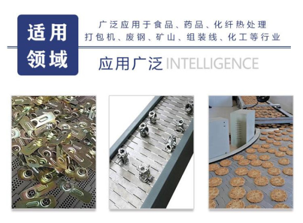 链板输送机(图5)